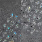 2510-maia00029-Samolepky-na-nehty-Mo-sk-sv-tlo-